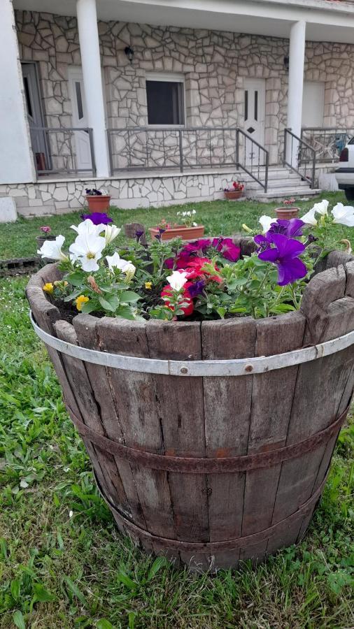Kamena Kuca Family Rodin Daire Čapljina Dış mekan fotoğraf