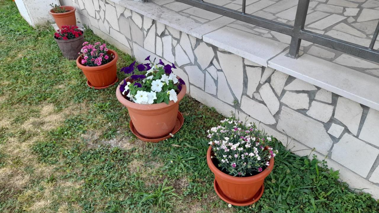 Kamena Kuca Family Rodin Daire Čapljina Dış mekan fotoğraf