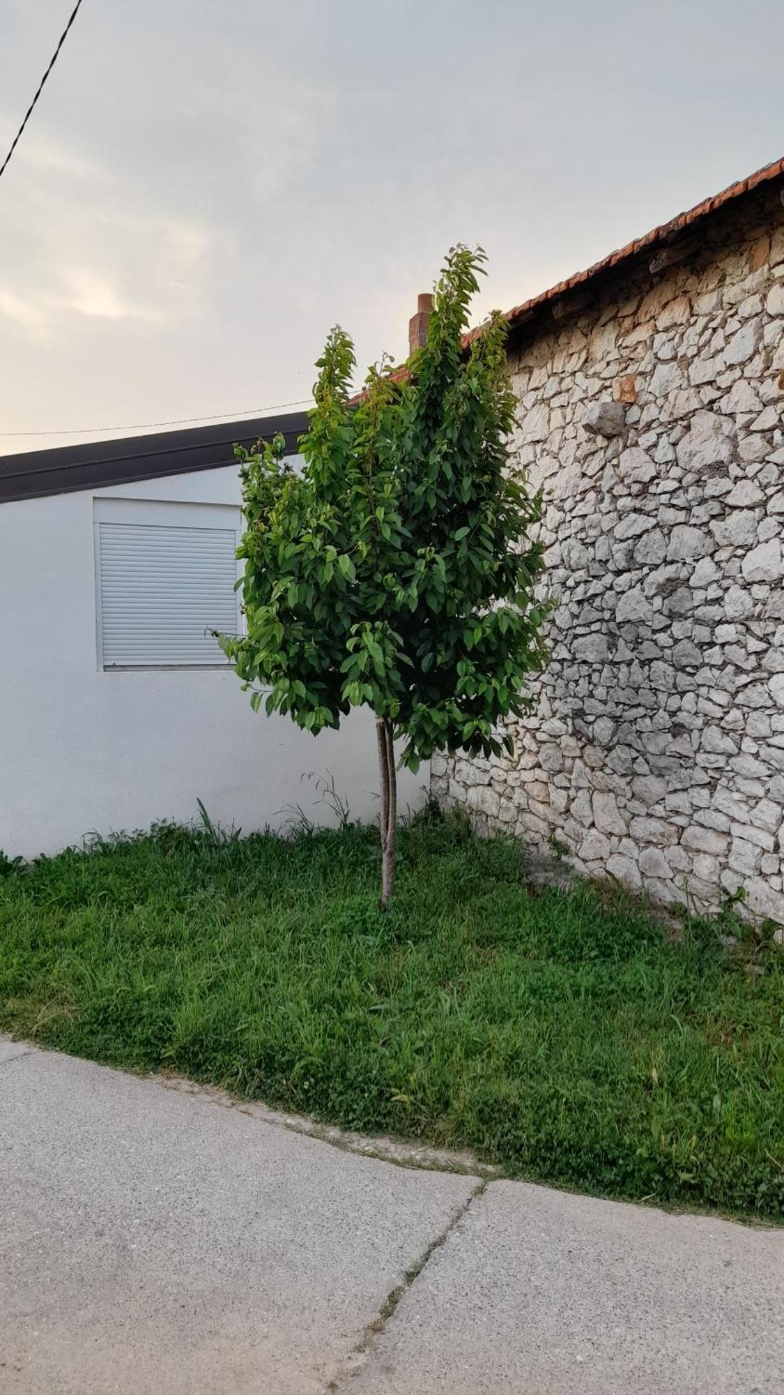 Kamena Kuca Family Rodin Daire Čapljina Dış mekan fotoğraf