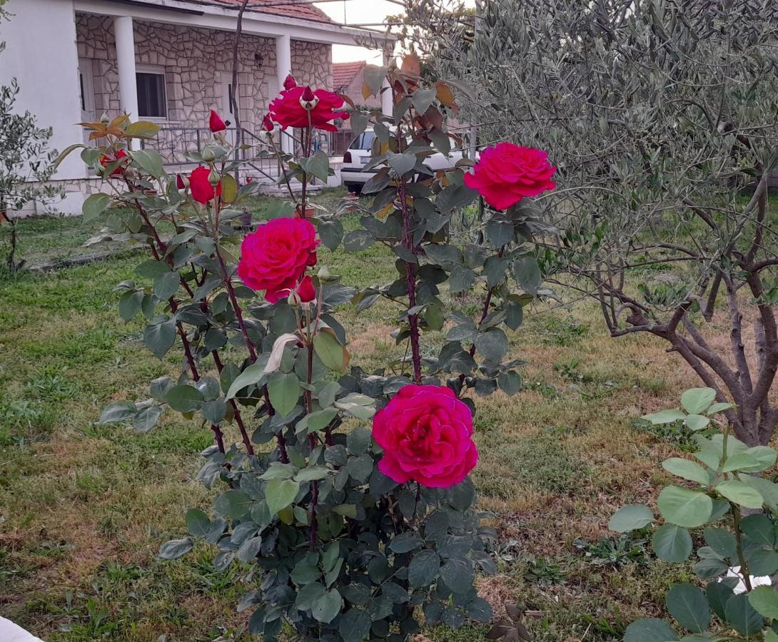 Kamena Kuca Family Rodin Daire Čapljina Dış mekan fotoğraf