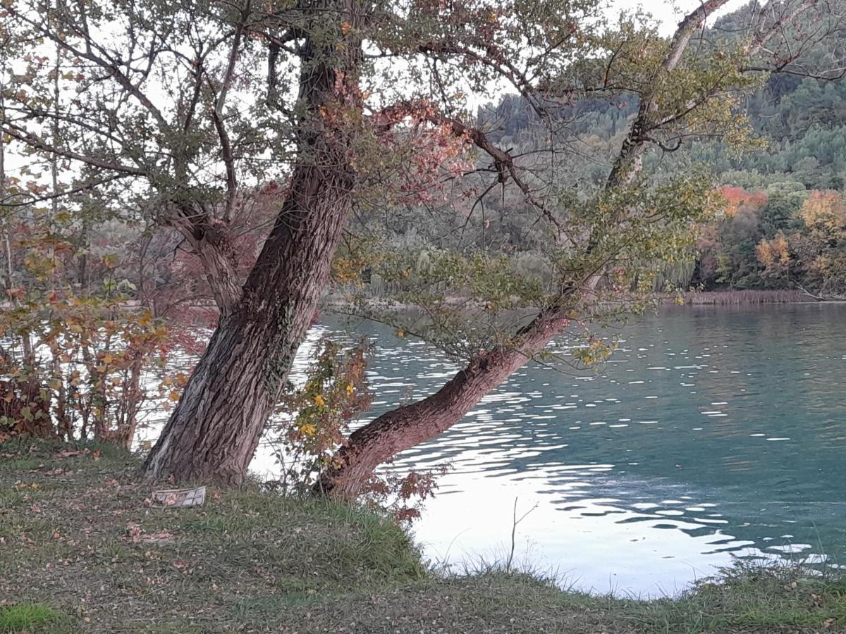 Kamena Kuca Family Rodin Daire Čapljina Dış mekan fotoğraf