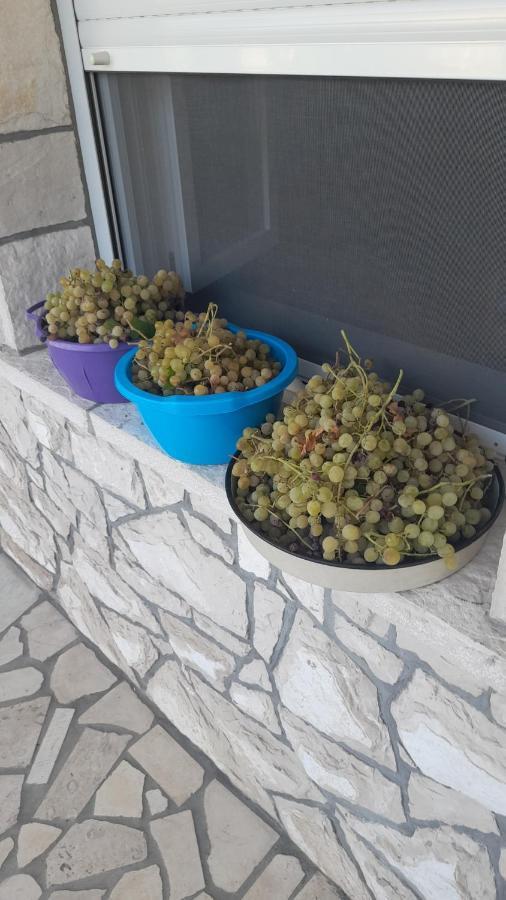 Kamena Kuca Family Rodin Daire Čapljina Dış mekan fotoğraf